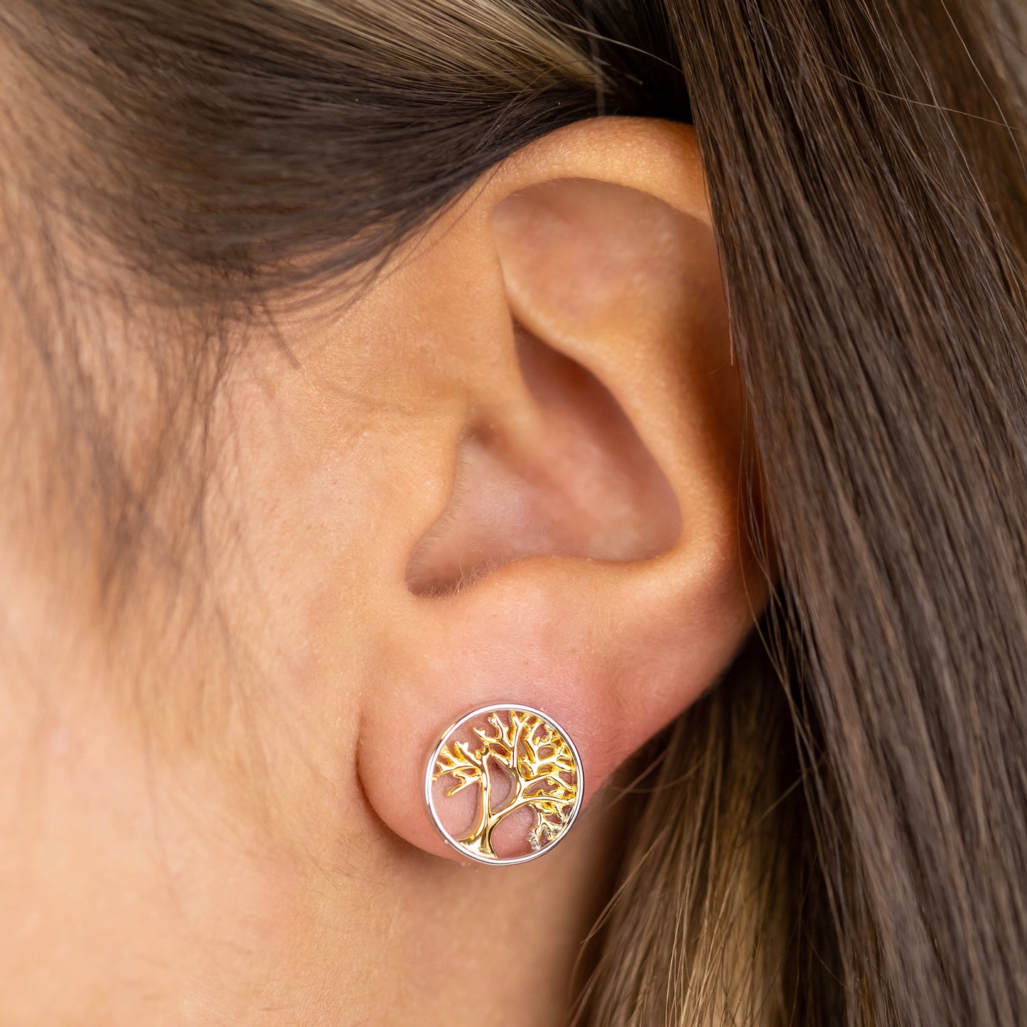 Ohrstecker 925er Silber Lebensbaum Bicolor Gold
