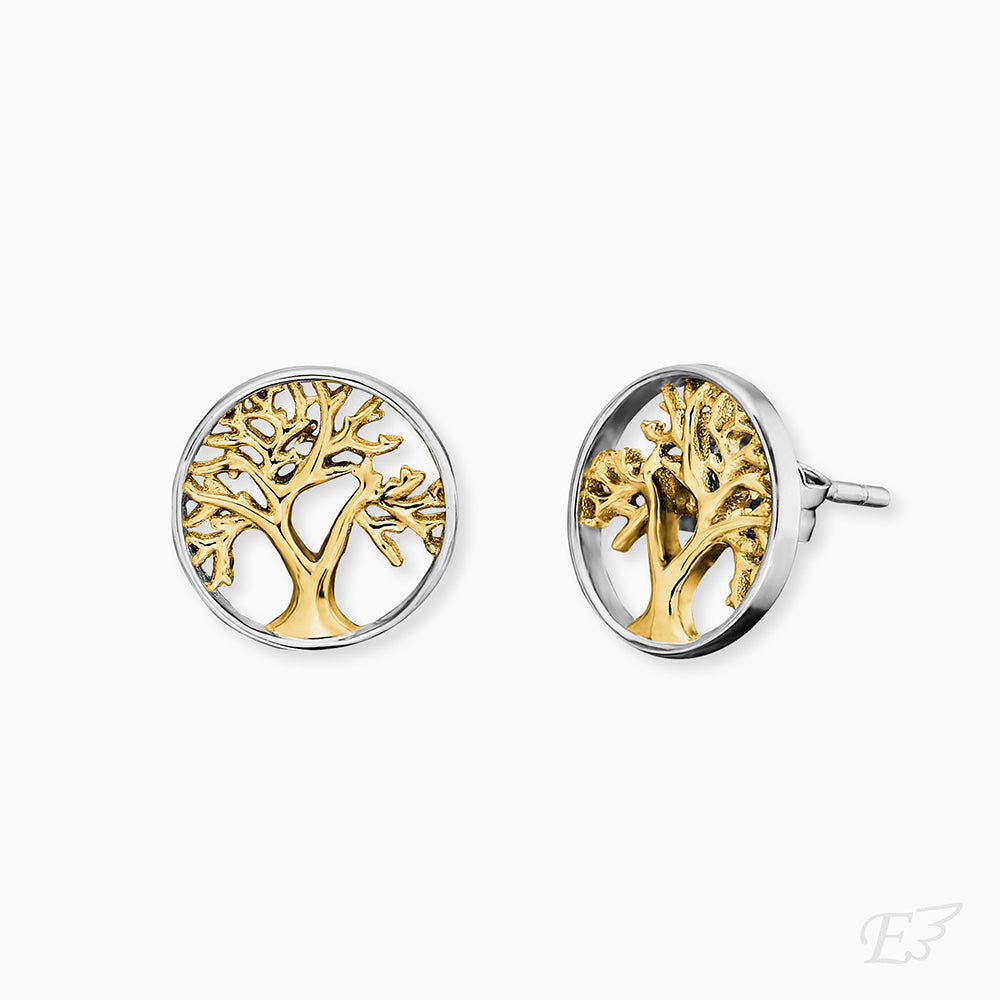 Ohrstecker 925er Silber Lebensbaum Bicolor Gold